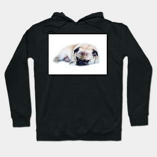 Sleeping Pug Hoodie